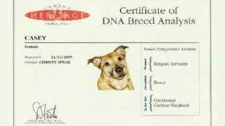 Dog-DNA.com Mixed Breed Testing - Canine Heritage XL (New)
