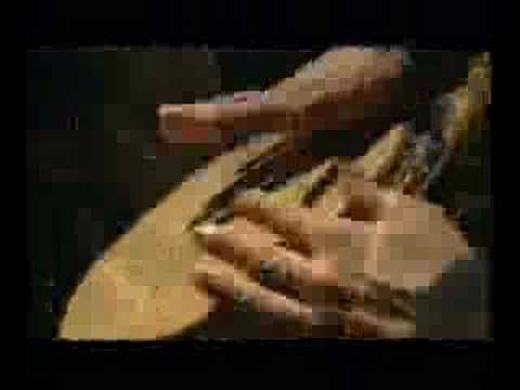 Elizabeta Toplek Cinkusi