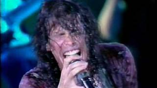 Aerosmith - Cryin´ - Hollywood Rock Festival, Rio de Janeiro 1994