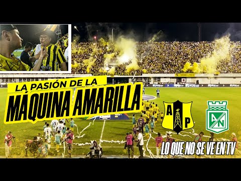 "Me fui a Barrancabermeja a ver a: Alianza Petrolera vs Atletico Nacional -cuadrangular A de Colombia" Barra: Dominio Aurinegro &bull; Club: Alianza Petrolera