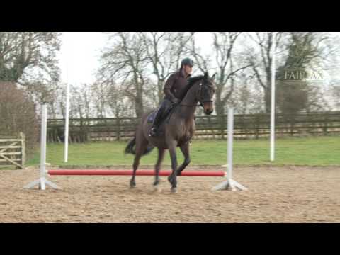 Hoy Masterclass in Minutes - 4 Jumps on a Circle