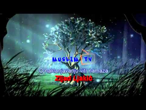 O naklanjavanju vitr namaza - mr. Zijad Ljakic