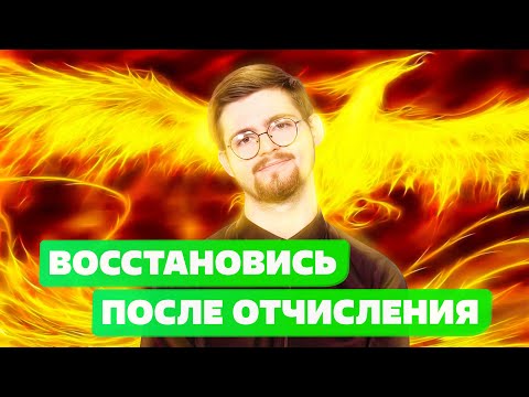 КАК восстановиться  после отчисления в 2022? Добровольное отчисление