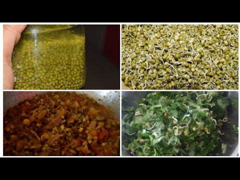 Morning walk & Yoga |What you should eat when want to lose weight??#loseweight #diet #morningwalk