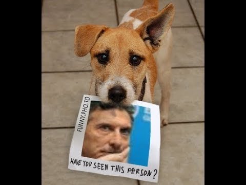 SI TE QUEDA ALGO DE DIGNIDAD GATO RENUNCIA Si sos popular GATO anti neoliberal CANTATA con Mami