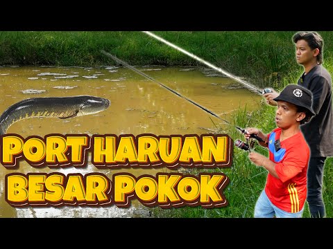 Ajoi Bawak Zukie Mancing Port Haruan !!!