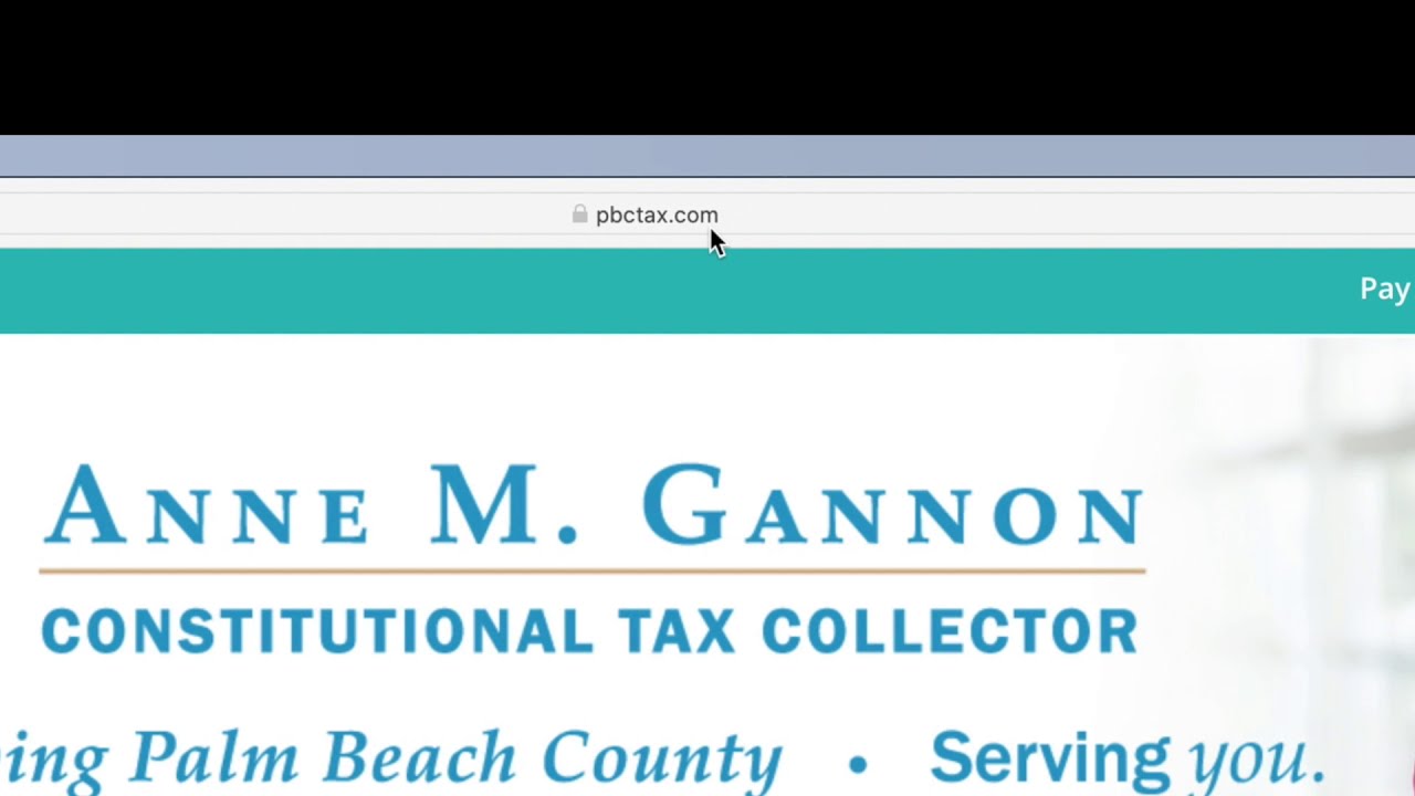 How much does a car registration cost in Palm Beach County? Tipseri