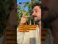 Así suena “El Árbol”, tema inédito con el que Camilo anticipa la llegada de su próximo disco