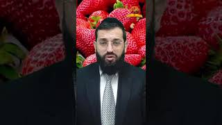 איך בודקים תותים מתולעים? הרב אושרי אזולאי (קו ההלכה הספרדי) - התמונה מוצגת ישירות מתוך אתר האינטרנט יוטיוב. זכויות היוצרים בתמונה שייכות ליוצרה. קישור קרדיט למקור התוכן נמצא בתוך דף הסרטון