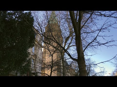 Eight Impros on the 105 years old Angster pipes