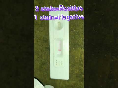 pregnancy test at home. #shorts  #subscribe #short