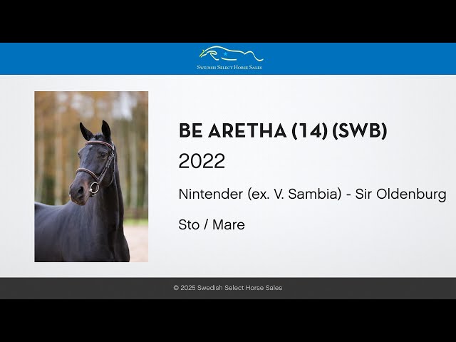 BE Aretha - Free jumping