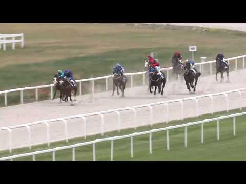 2022.05.29. 01. futam - NYERETLENEK VERSENYE (V.kat.)(szintetikus pálya)