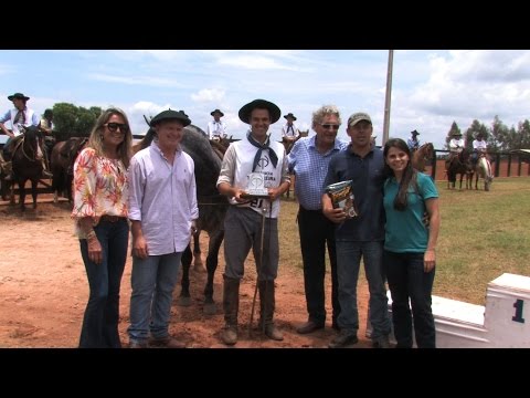 Major do Recanto Crioulo - 2º Lugar Machos na Credenciadora da Estância Tamareira 2015