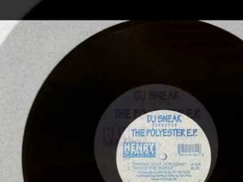 DJ Sneak - The Polyester EP - Expand Your Horizons