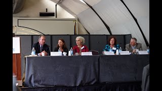 Building on the Past, Looking to the Future: NYC 15/15 and ESSHI video