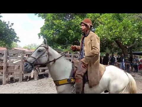 Pega de boi na moita parque São Sebastião localidade bulena José de Freitas Piauí 06 12 2025
