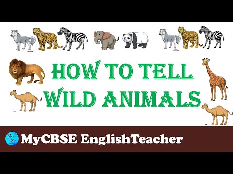 Summary with Solved Exercise: How to Tell Wild Animals Video Lecture |  Study English Class 10 - Class 10 | Best Video for Class 10