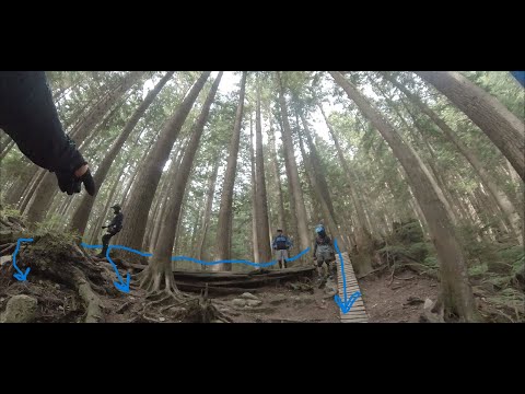 Hardtail Group Ride Expresso