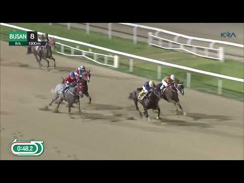 (Busan) 06.08.2022 R8 USA gezüchtet schafft drei Siege aus fünf Rennen