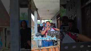 Download lagu Siaekmual musik // Medley lagu batak Cipt: TILHANG GULTOM!!!! lanjut insos moneter dan Lali habang mp3