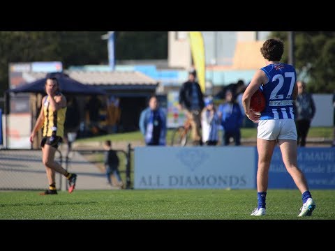 Will Walker goals (VFL Round 9, 2018)