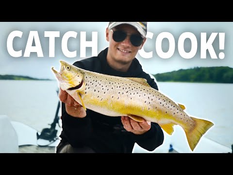 Catch And Cook - A Summer Sea Trout In The Fjord (great sea trout recipe!)