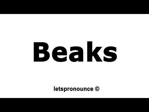 How to Pronounce Beaks