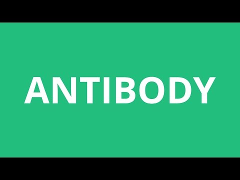 How To Pronounce Antibody - Pronunciation Academy