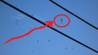 Flying Humanoid Death Birds Swarm