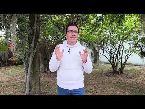 MEDIDA PREVENTIVA a empresa maderera en Tausa Cundinamarca