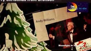 andy williams  Christmas With Andy Williams   Moonlight In Vermont
