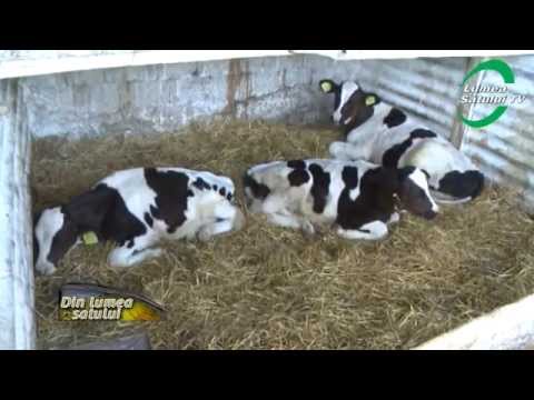 Emisiunea "Din lumea satului" - 4 august 2013