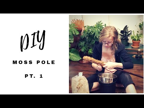 HOW TO MAKE A MOSS POLE (pt. 1) Tired edition | DIY | Plant Trellis