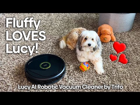 Meet Lucy, an intelligent AI robot vacuum cleaner by Trifo.