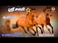 மதுரையில வாங்கி வந்த மரக்குதிரை