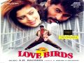 Lovebirds [1996] - Come On Come On