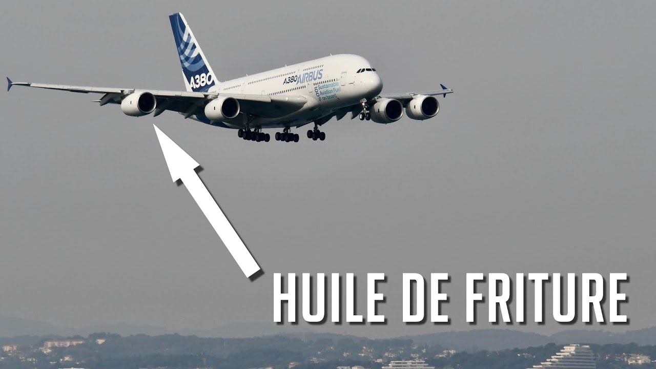 Le bio carburant pour remplacer le kérosène Reportage