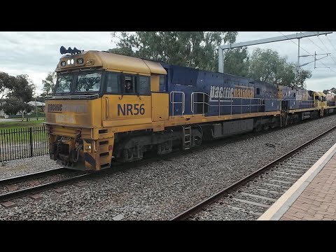 NR56 + NR51 + NR59 #6PM6