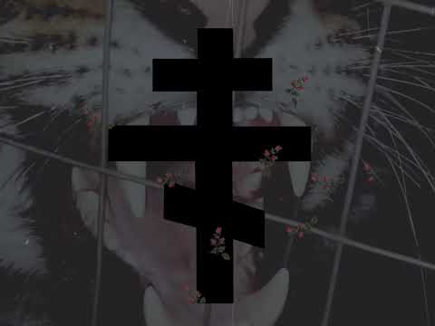 Filip Filipi (feat. Gucci Mane) - Kosovka/Nine Roses Promo Video