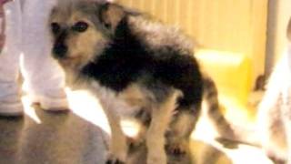 historia de vida de Ana Belén