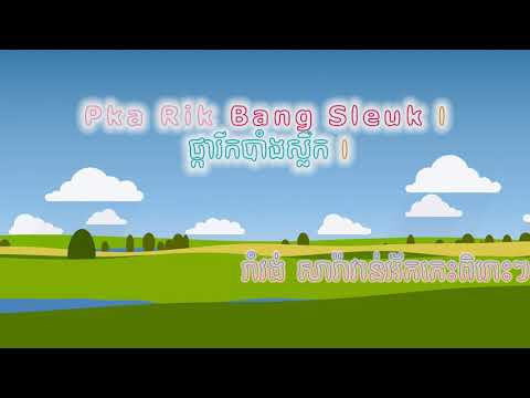Pka Rik Bang Sleuk  ផ្ការីកបាំងស្លឹក  Romvong orkes new song