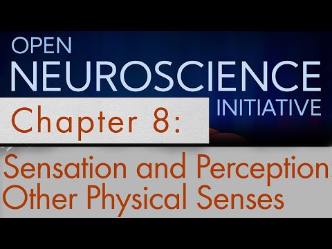 "Other Physical Senses" Open Neuroscience Initiative Chapter 8 (audio textbook)