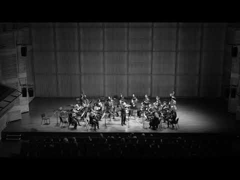 Martin Polyptiques Netherlands Chamber Orchestra Gordan Nikolić
