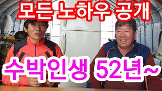 수박농사 52년 수박사장님 모든 노하우 공개 애플수박 복수박 수박심는시기 수박순지르기,순치기