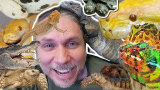 ALL MY PET REPTILES IN ONE VIDEO!! Brian Barczyk by Brian Barczyk