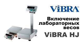 Лабораторно-промышленные весы ViBRA HJ