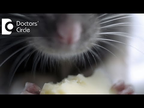 Is it dangerous to consume eatables contaminated by mice? - Dr. Sanjay Gupta