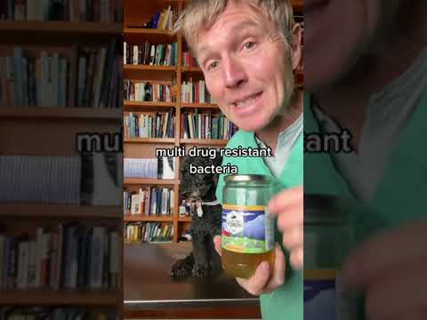 Natural Antibiotic works great for Dog Infections