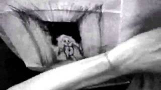 'Art of Coffins' painting